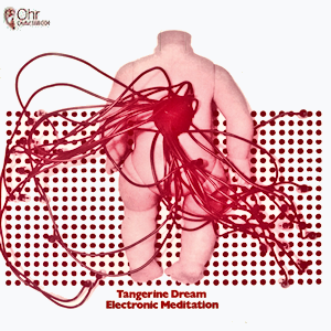 Electronic Meditation cover